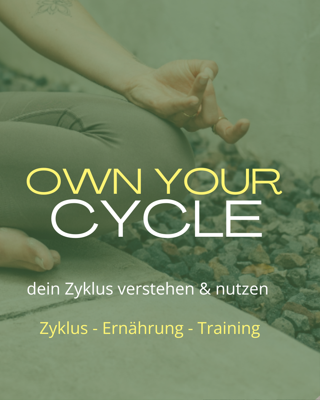 TARA Workshop Zyklus